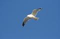 13_DP-2011-023 Bild0358c
